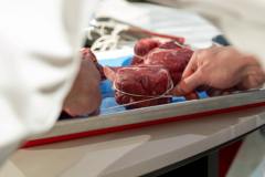 TasteCanada-CooksTheBooks-Student-Competition-CirillosAcademy-291023@Picnchu89-144