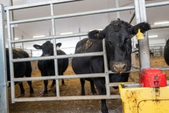 Taste-Canada-2025-Cooks-The-Books-Farm-Tour101125©stephenchu@picnchu89-22