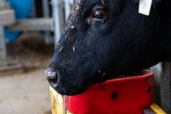 Taste-Canada-2025-Cooks-The-Books-Farm-Tour101125©stephenchu@picnchu89-26