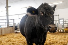 Taste-Canada-2025-Cooks-The-Books-Farm-Tour101125©stephenchu@picnchu89-30