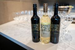 Taste-Canada-2025-Cooks-The-Books©stephenchu@picnchu89-79