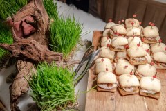 Taste-Canada-2023-Awards-Soiree-Fairmont-Royal-York-Hote-Picnchu23-4