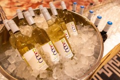 TasteCanada-Awards-Soiree-Fairmont-Royal-York-301023@Picnchu89-6