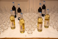 TasteCanada-Awards-Soiree-Fairmont-Royal-York-301023@Picnchu89-9