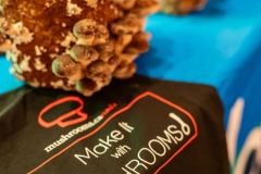 Taste-Canada-2025-Awards-Soiree-101125©stephenchu@picnchu89-40