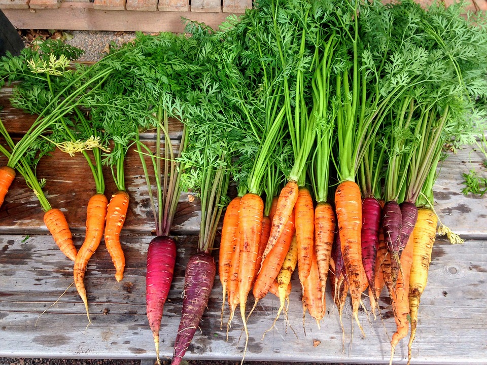 Ingredient Spotlight Colourful Carrots Taste Canada Flavours 