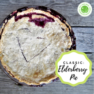 Classic Mennonite Elderberry Pie