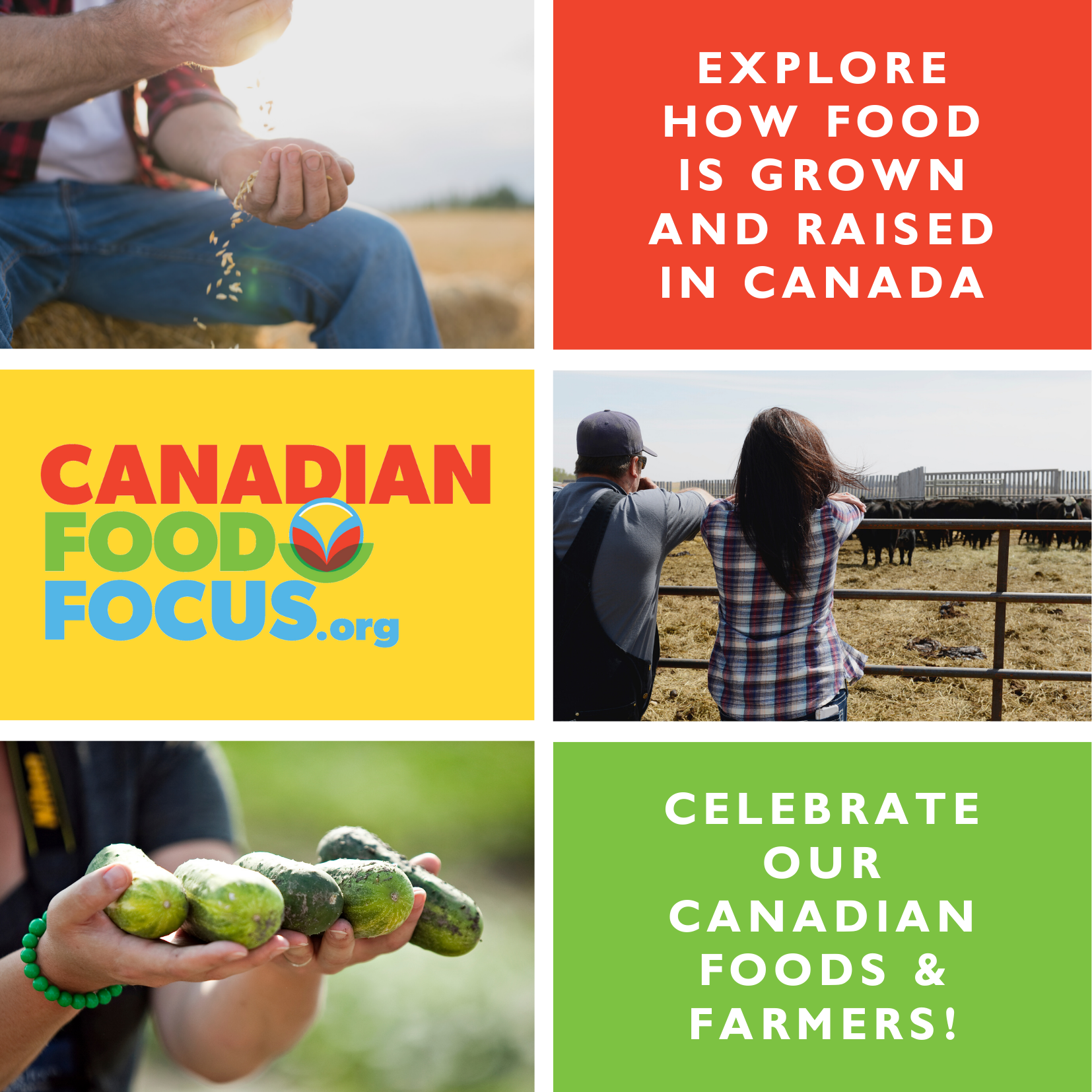 CFF Ad Taste Canada CFF Ad Taste Canada