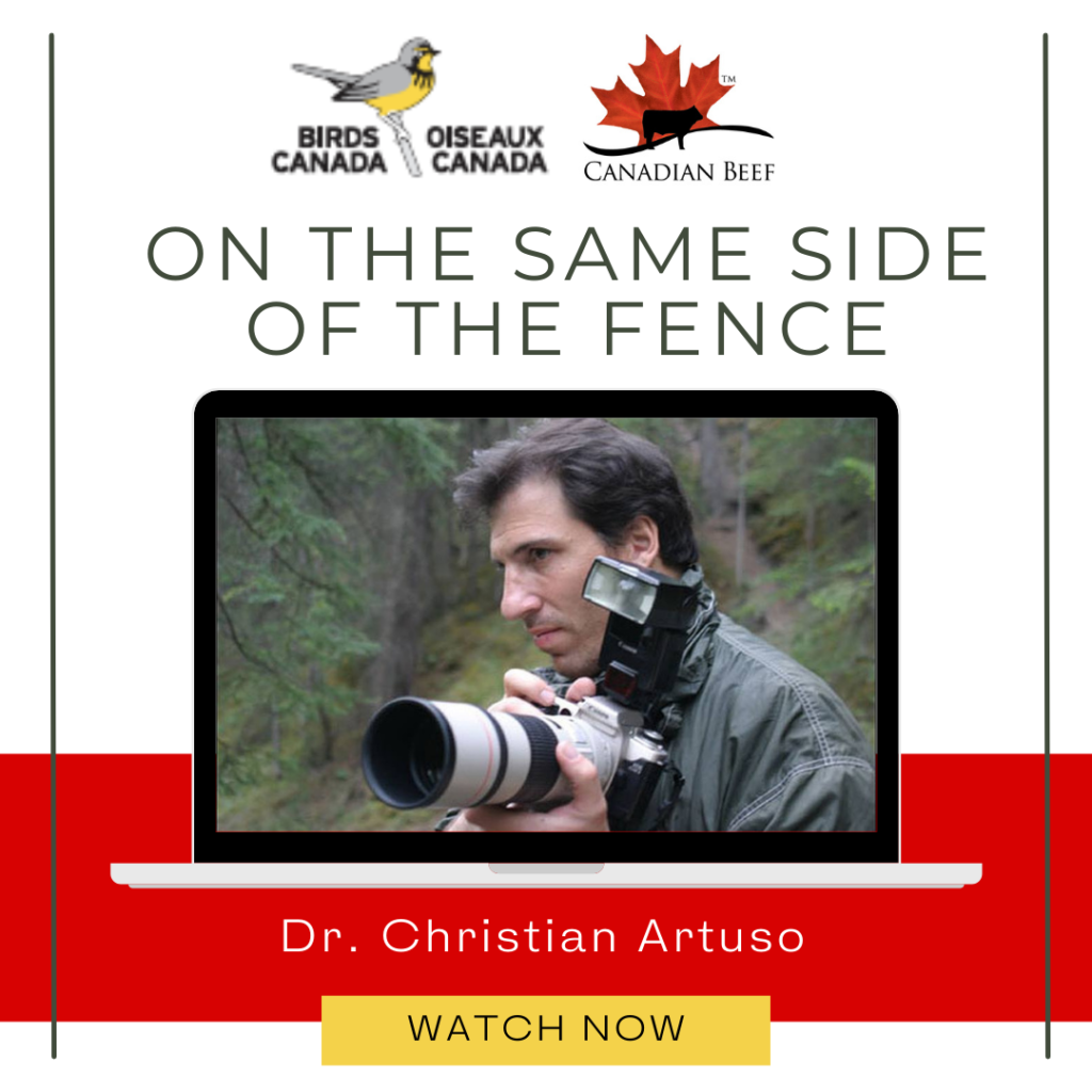 Image for "On the same side of the fence" video
