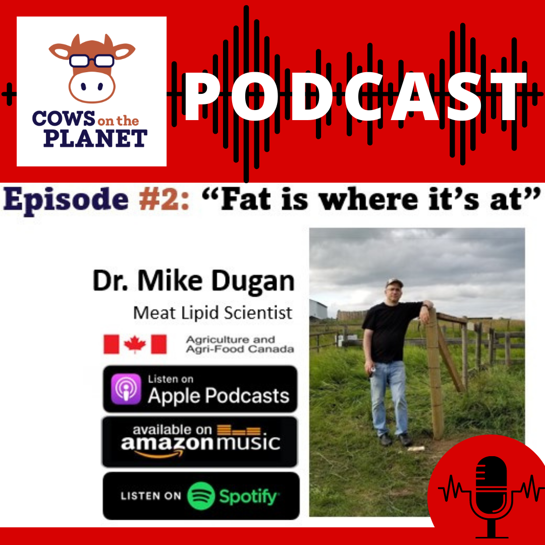 Image du podcast "Les vaches de la planète"