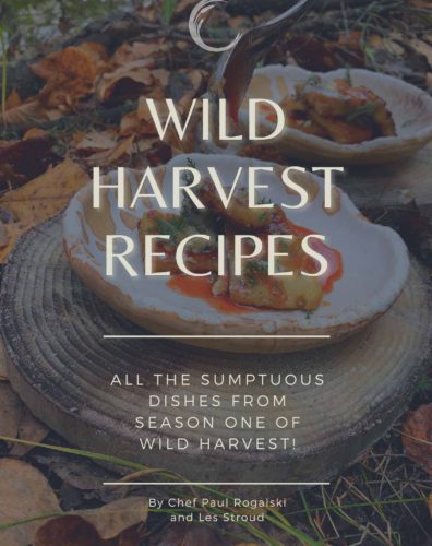 Wild Harvest Recipes: All The Sumptuous Dishes From Season One of Wild Harvest