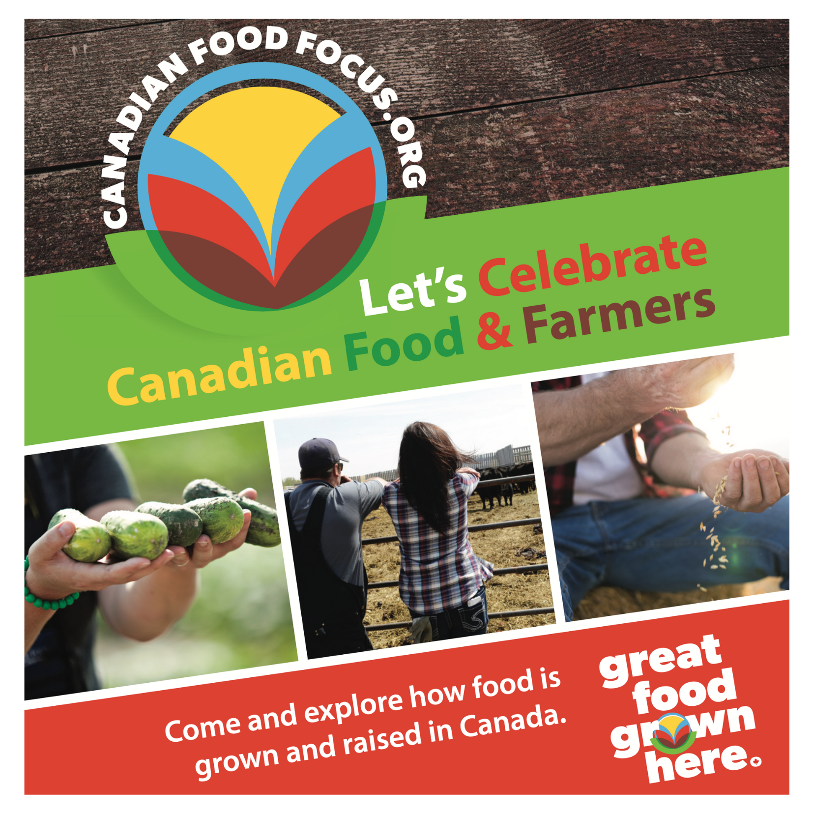 Image Focus sur l'alimentation canadienne