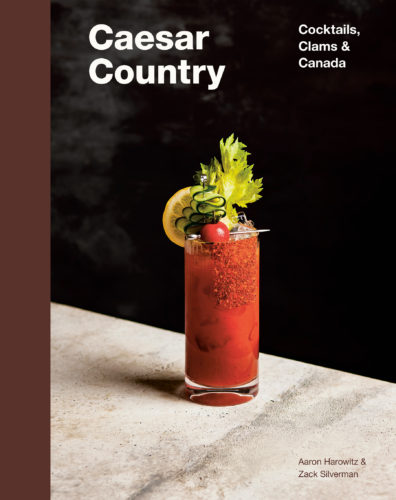 CAESAR COUNTRY Book Cover