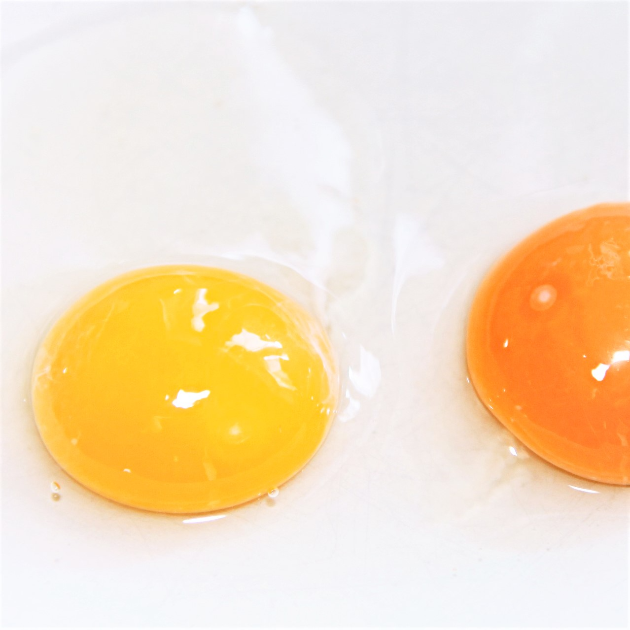 two egg yolks