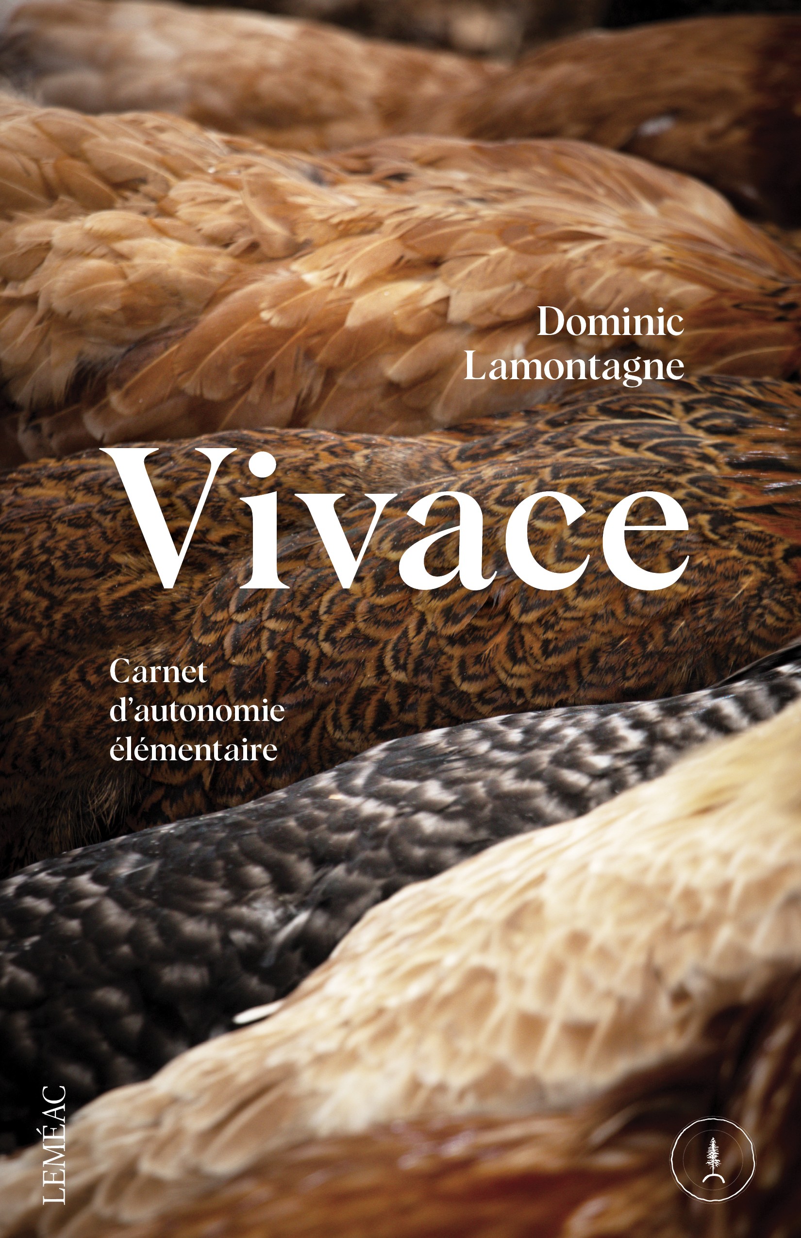 Vivace Book Cover Vivace. Carnet d'autonomie élémentaire par Dominic Lamontagne, Leméac Éditeur, Montréal