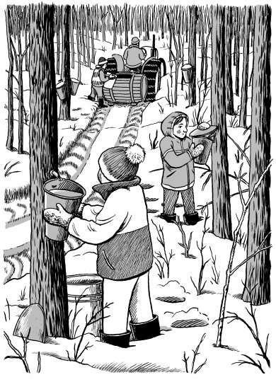 An illustration from the book: Maple Syrup: A Short History of Canada's Sweetest Obsession