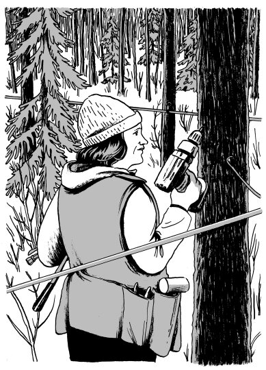 An illustration from the book: Maple Syrup: A Short History of Canada's Sweetest Obsession