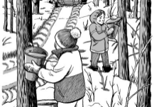 An illustration from the book: Maple Syrup: A Short History of Canada's Sweetest Obsession